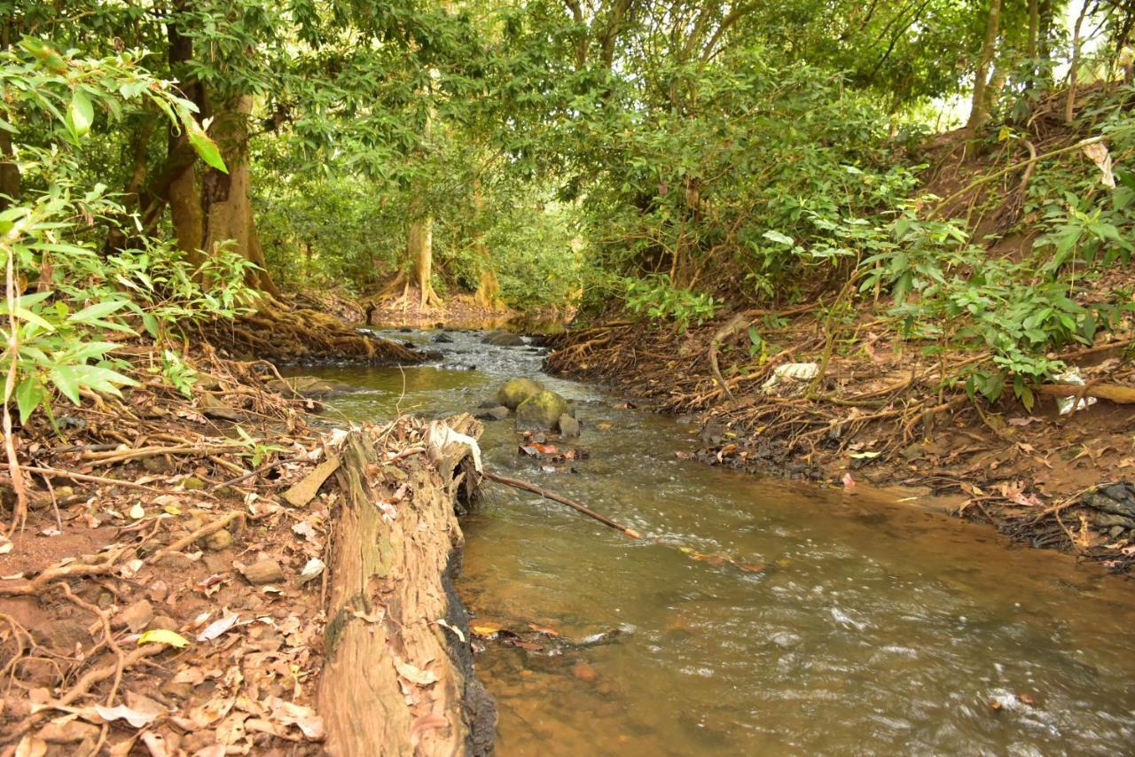 Jungle View River Camping Udawalawe Kültér fotó