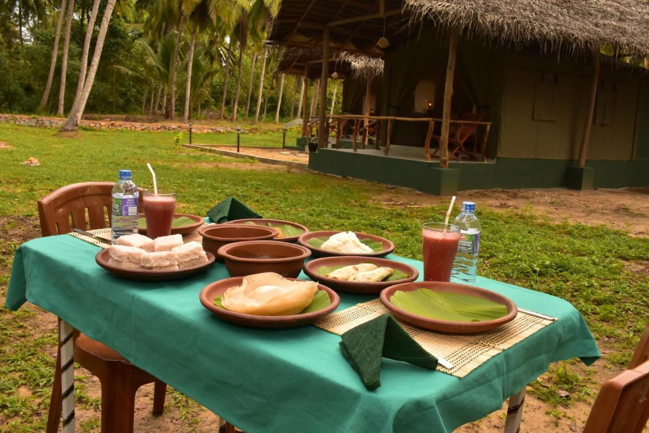 Jungle View River Camping Udawalawe Kültér fotó